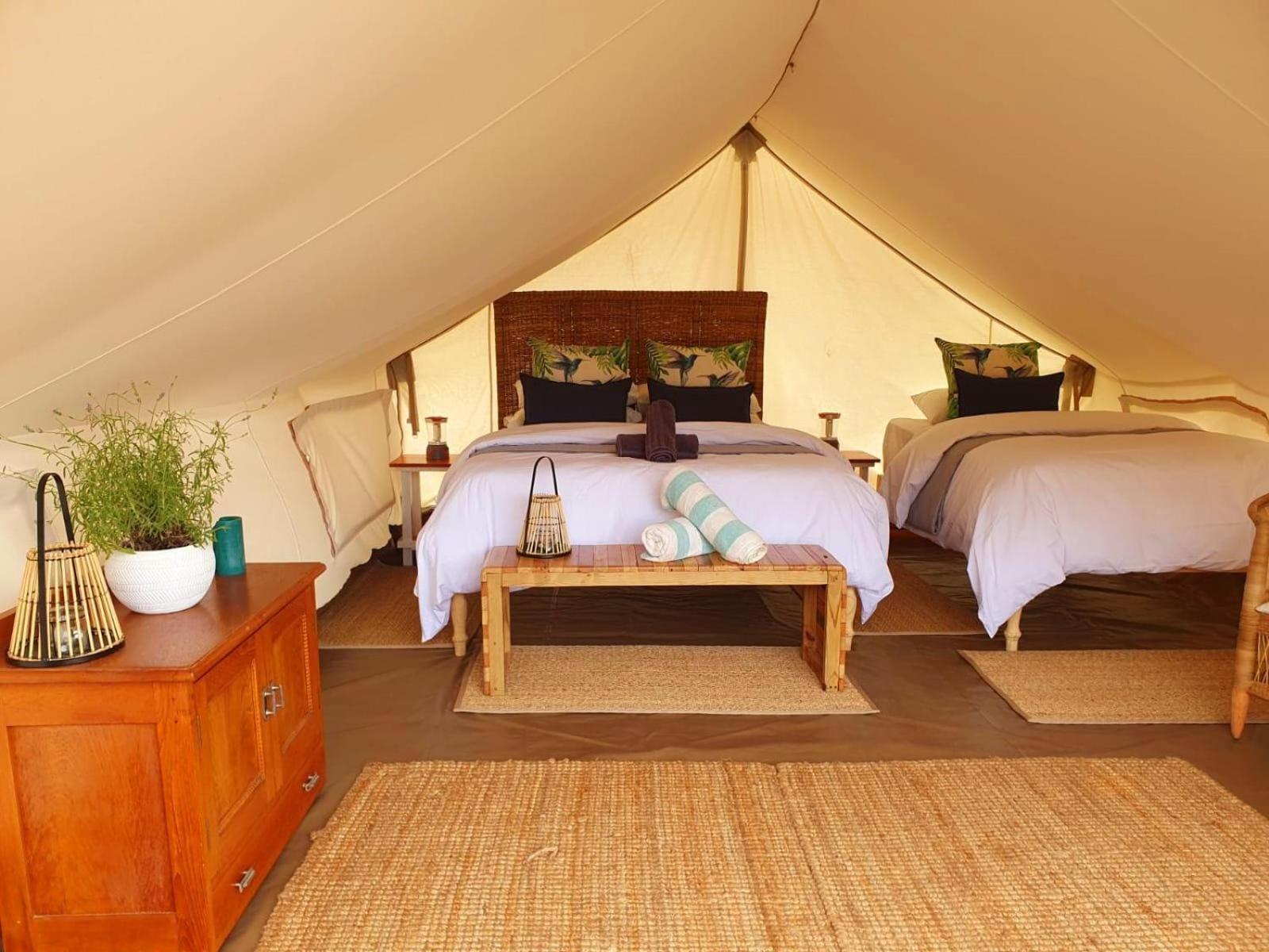 Leopard Valley Eco Retreat Citrusdal Oda fotoğraf