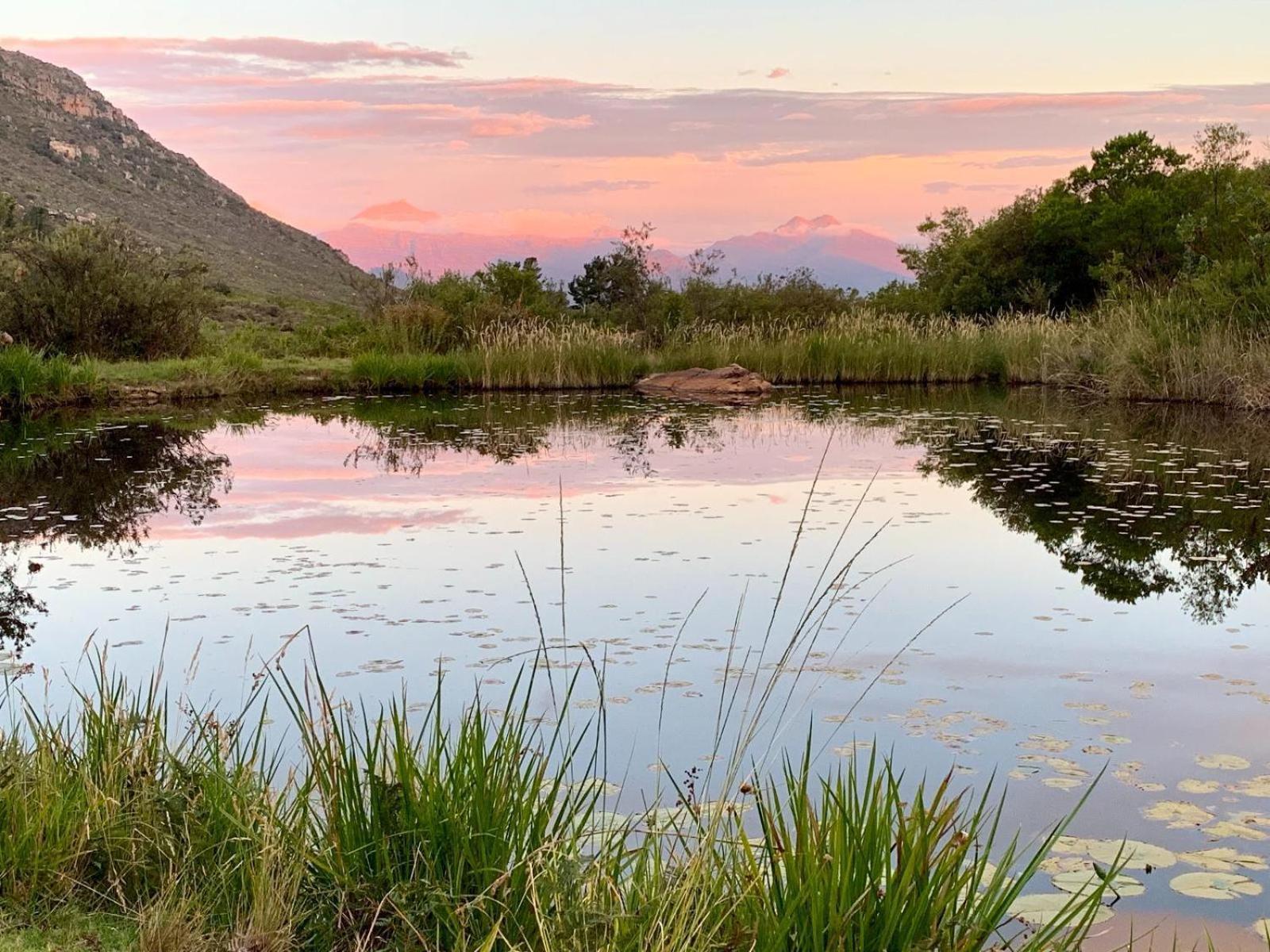 Leopard Valley Eco Retreat Citrusdal Dış mekan fotoğraf