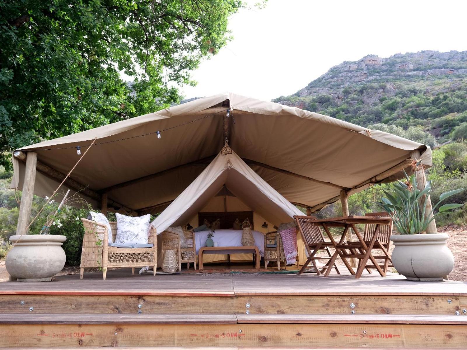Leopard Valley Eco Retreat Citrusdal Oda fotoğraf