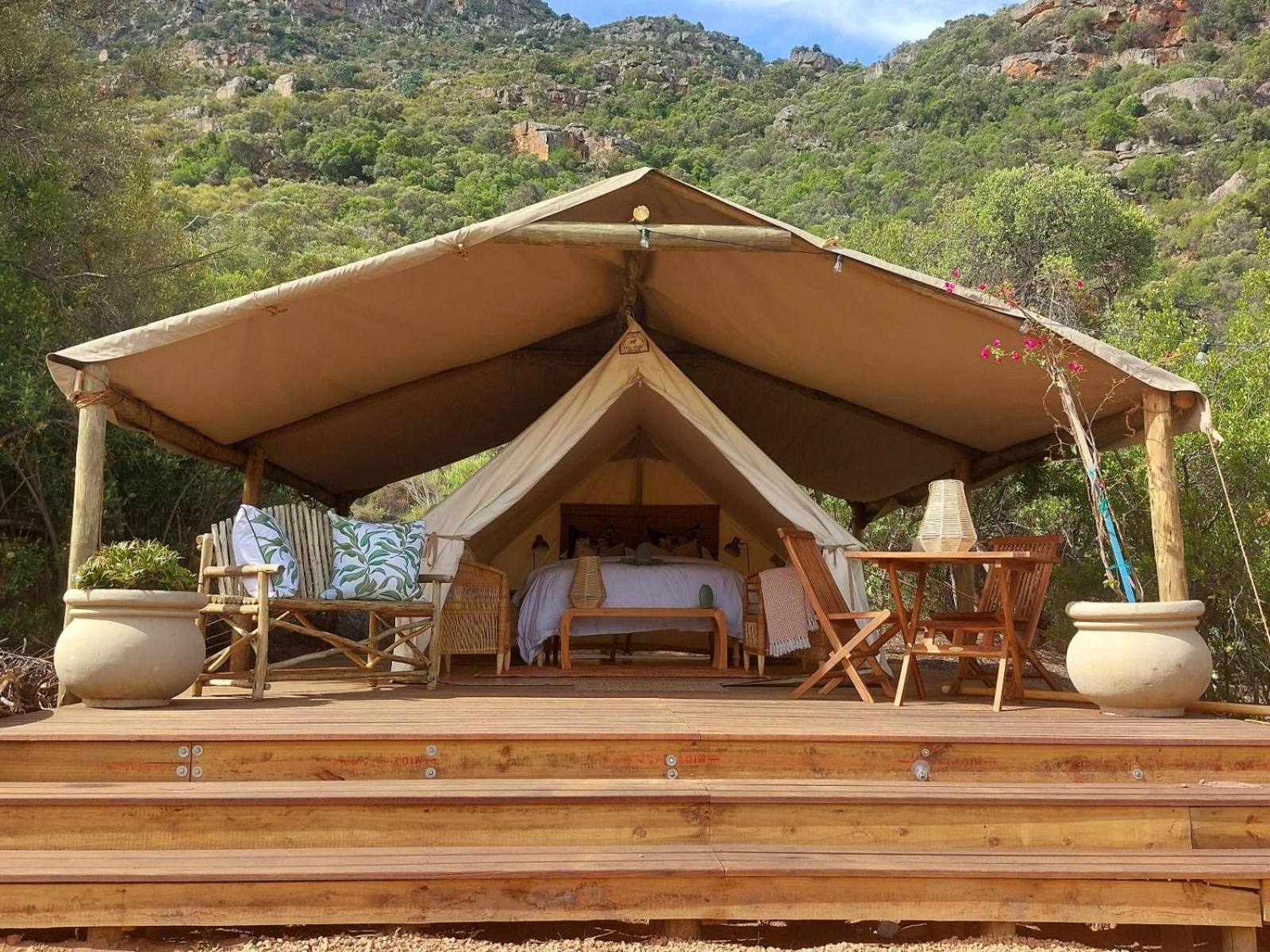 Leopard Valley Eco Retreat Citrusdal Oda fotoğraf